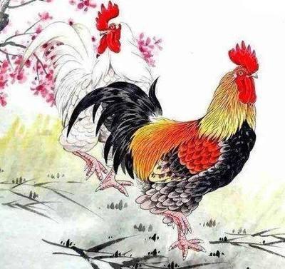 2025年农历八月属鸡的人运势如何 如何催旺运势