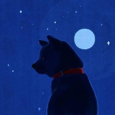 11月18日出生的星座 天蝎座的人命运好不好