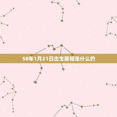 11月22日出生命运如何和星座是什么