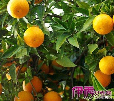 做梦梦见吃桔子 吃橘子是什么意思