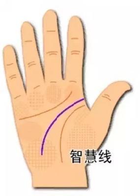 什么是手相智慧线 手相智慧线说明了什么