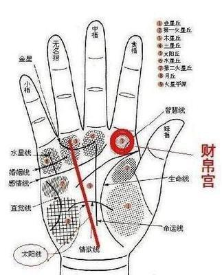什么是手相智慧线 手相智慧线说明了什么