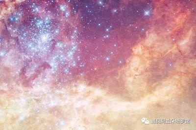 11月4日出生命运如何和星座是什么