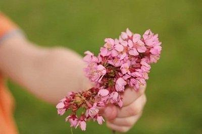什么是烂桃花运怎么看谁的烂桃花最多