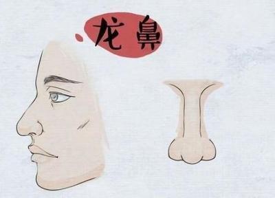 什么是牛鼻子的面相 牛鼻的人命运好吗