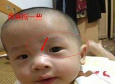 什么是狮子鼻 狮子鼻面相意味着什么