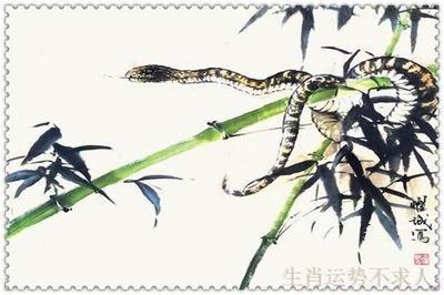 什么是生性多疑的生肖 很多疑的生肖