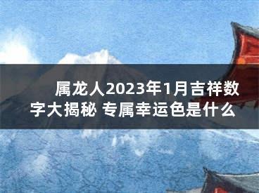 2025年属龙的幸运色是什么吉祥颜色