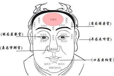 什么样人的面相好有福 这些面相的人命好