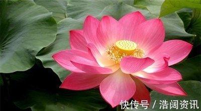 2025年属龙的贵人是谁 谁的帮助下财运节节高升