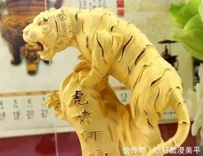 2003年10月24日晚上19-21点出生性格、运势和命运