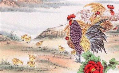 1981年出生属鸡的人命运解析大全