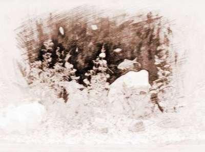 住宅与风水环境对人有何影响什么环境适宜居住 住宅与风水环境对人有何影响什么环境适宜居住