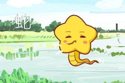 1981年属什么生肖生肖才是推断富贵与否的关键