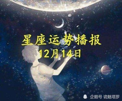 12月14日出生命运如何和星座是什么