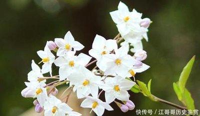 做梦梦见喜欢罪恶 做坏事是什么意思