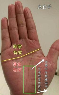 了解一下旺夫女人的手相都有什么特征