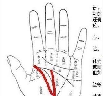 了解一下旺夫女人的手相都有什么特征