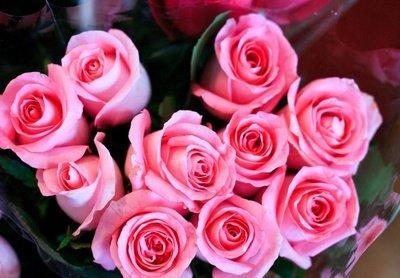 12月下旬单身的人如何用风水招桃花 12月下旬单身的人如何用风水招桃花