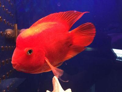 12生肖中蛇的朋友 哪几个生肖是属蛇人的贵人