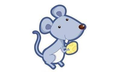 12生肖哪个顾家 最顾家的生肖是什么 12生肖哪个顾家 最顾家的生肖是什么