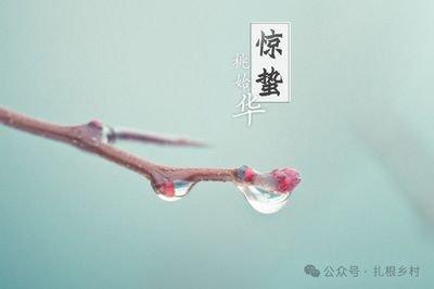 2025年惊蛰是什么时候 2025惊蛰节气是哪天