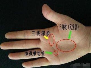 事业好的男人手相分析明显特征是什么