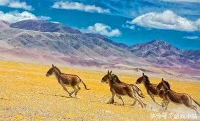 1985年8月24日晚上21-23点出生性格、运势和命运