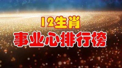 事业心强的生肖排行榜 谁最重视事业