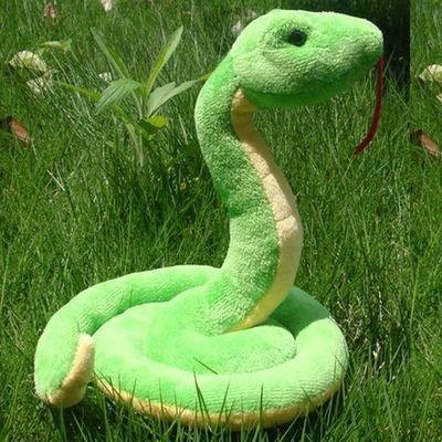 12生肖最可爱的生肖有哪些 看看是不是你
