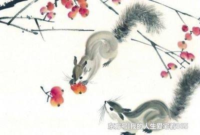 12生肖最吝啬的生肖 对谁都很抠门