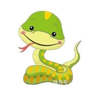 12生肖本领强的生肖 有很强的能力