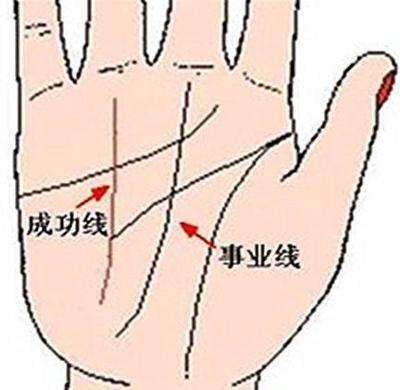 事业成功的人的手相特征看你有没有