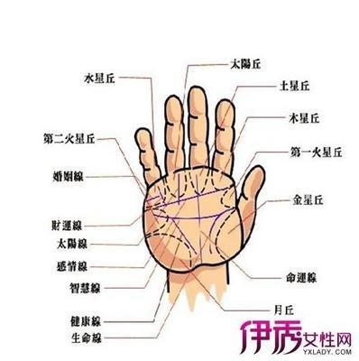 事业有成男人手相 男人事业有成的手相有什么特征