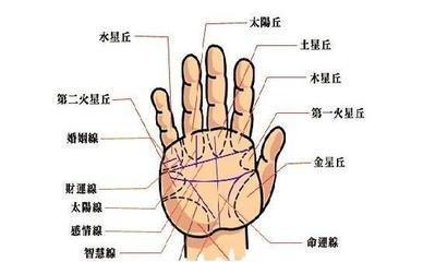 事业有成男人手相 男人事业有成的手相有什么特征