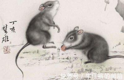 12生肖鼠与谁合作 属鼠人与哪些人做生意好
