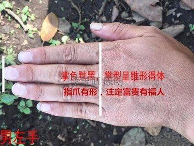 事业线分叉图解男 男人手相事业线分叉怎么看