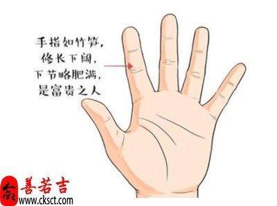 事业线分叉的手相 事业线分叉代表着什么