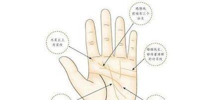 事业线分叉的手相 事业线分叉代表着什么
