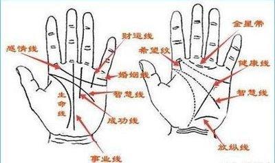 事业线史上最全图解 教你怎么看事业线