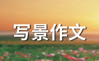 做梦梦见大海上飞翔的海鸥是什么意思