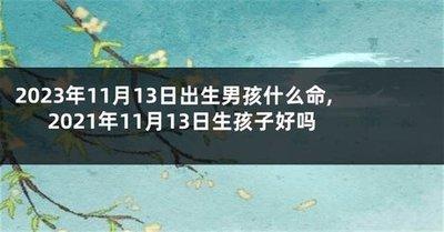 1982年11月2日中午11-13点出生性格、运势和命运