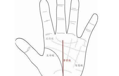 事业线浅阔手相图解 手中事业线分析事业发展