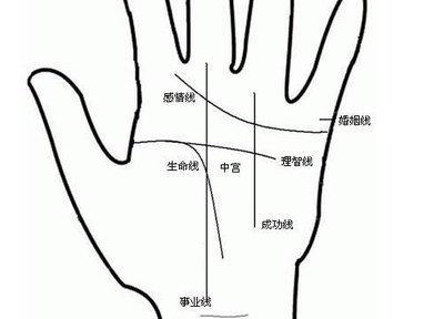 事业线短手相说明什么 手相事业线短是什么意思