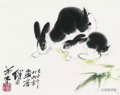 1987年属兔人一生中的三大劫难 为什么不顺利 1987年属兔人一生中的三大劫难 为什么不顺利