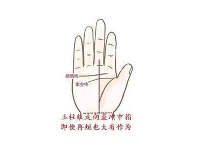 事业线通过手相看你一生事业能否成功