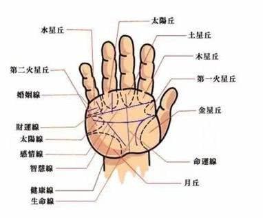 什么样的手最有福气 这几种手相的人福气好