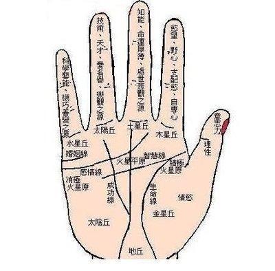 什么样的手相代表运气好 这些手相的人命好