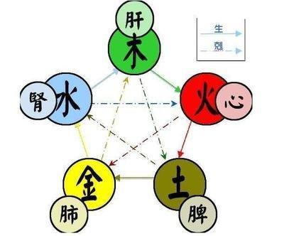 1982年11月7日晚上21-23点出生性格、运势和命运