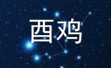 2005年出生的属鸡人命运怎么样 在蛇年有好运吗